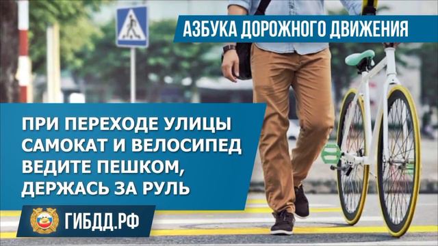 Как правильно переходить дорогу с велосипедом? (Годовой проект 8кл)