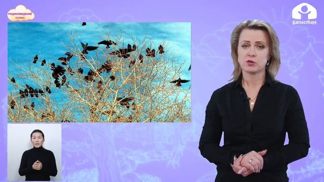 РОДИНОВЕДЕНИЕ 2 класс / Весна в нашем краю / ТЕЛЕУРОК 5.03.21