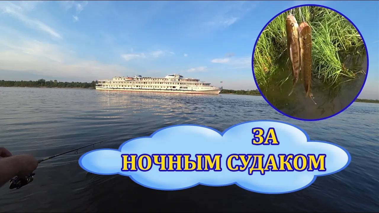 За ночным судаком. Ночная рыбалка на Волге.