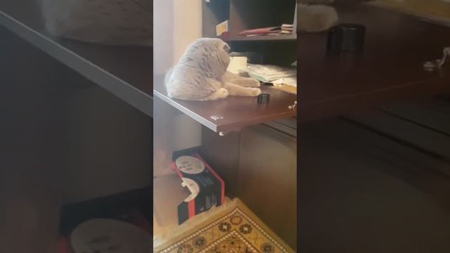 Секретер вот оказывается для чего)))