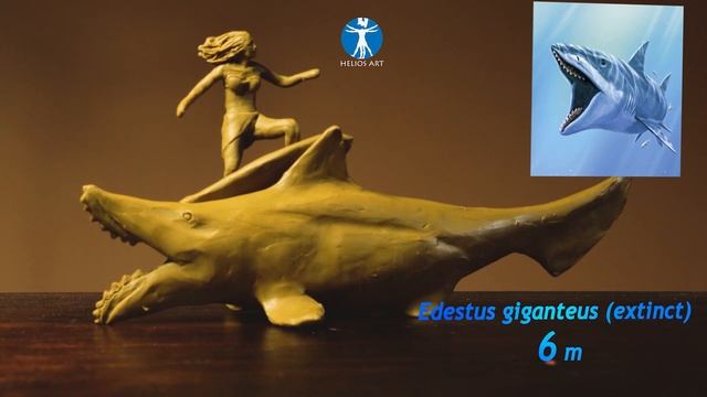 SHARK SIZE COMPARISON whit clay  ;)