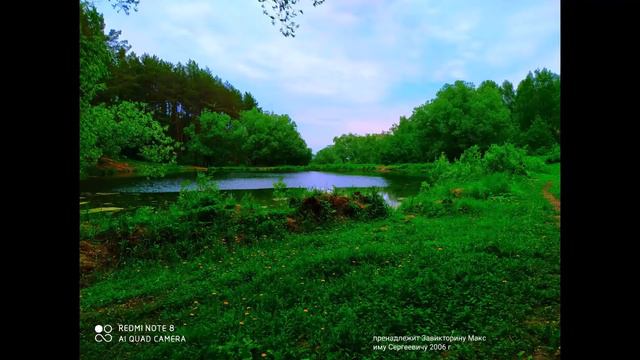 В ЛЕСУ ЛЕТОМ🍃🌴