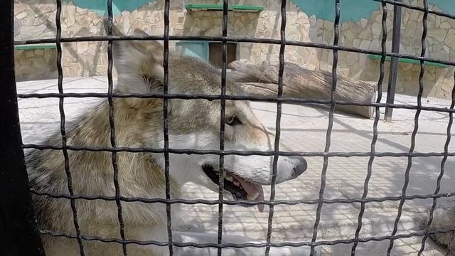 Парк Тайган язатайган
