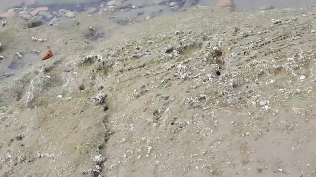 Побережье Торревьехи