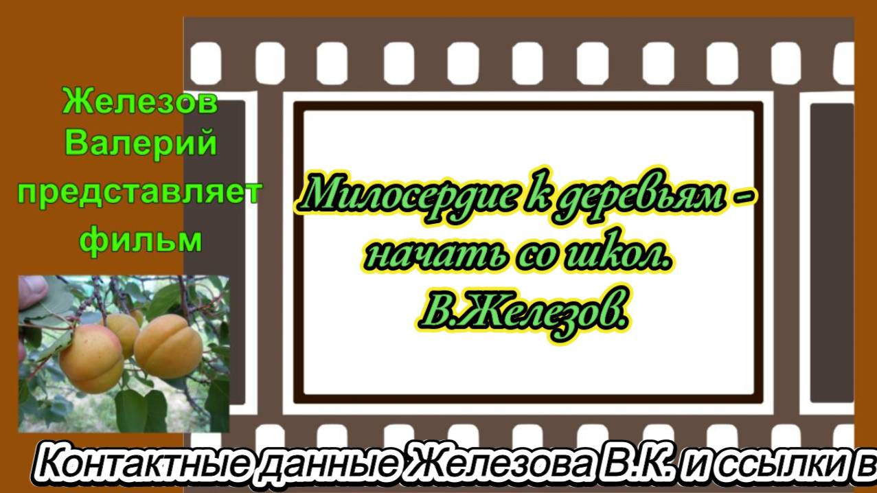 Милосердие к деревьям - начать со школ.  В.Железов.