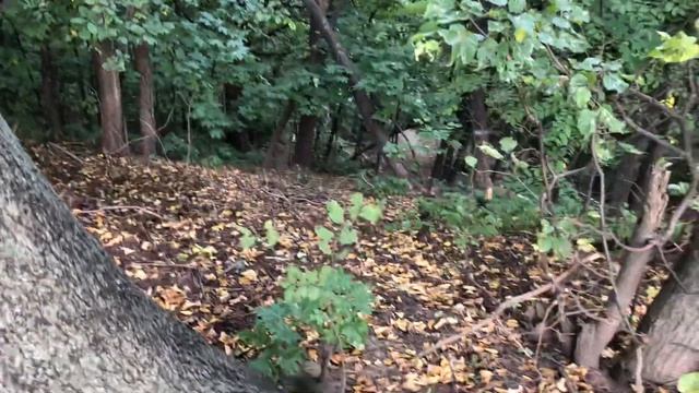 Сеанс космоэнергетики на восстановление сил - Москва, Воробьёвы горы