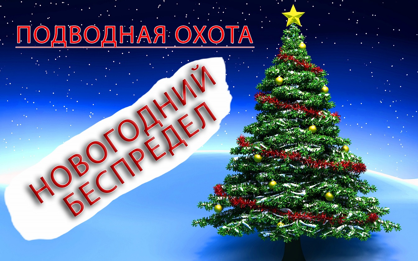 ПОДВОДНАЯ ОХОТА.КАРМАНОВО.НОВОГОДНИЙ ПЕСПРЕДЕЛ