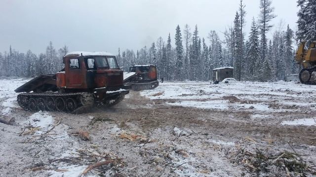 Трелёвщик