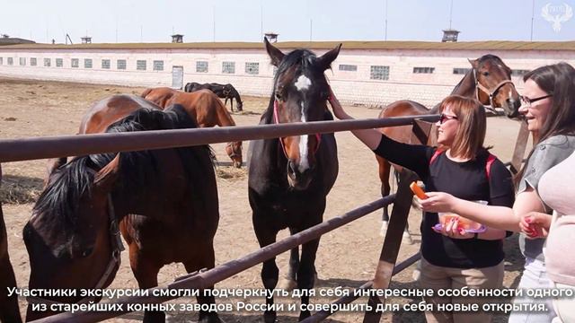 Преподавателей и студентов состоялась экскурсия на Деркульском конном заводе №63.