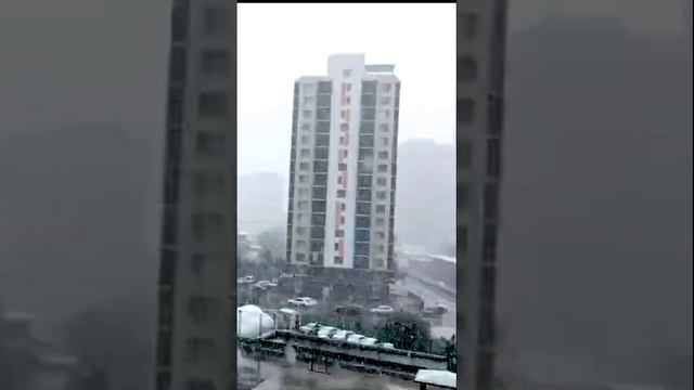 Редкий снег в Монголии