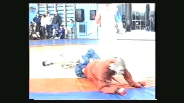 Combat Sambo