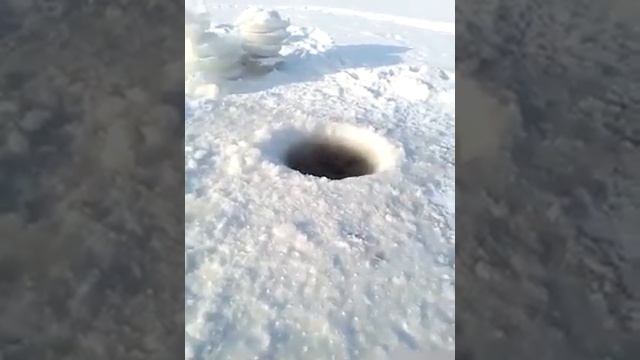 И тут я потерял дар речи