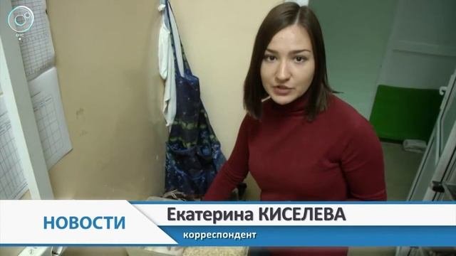 Болезнь цивилизации. Как биологи изучают гипертонию с помощью крыс?
