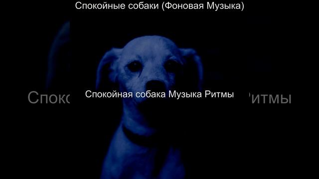 Видения (Расслабляющие собаки)