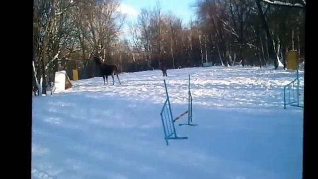 Сокольники 25.01.2013