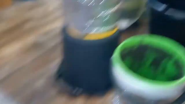 VID 20210115  Пересадка манго, часть вторая.