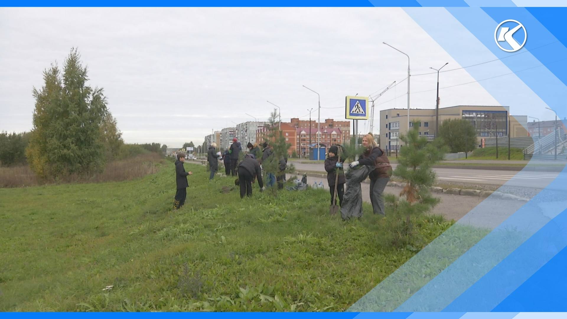 18.09.2024 На Западном проезде высадили новые деревья