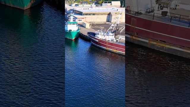 Crisis at Ballard Dock: The Sinking Crab Boat