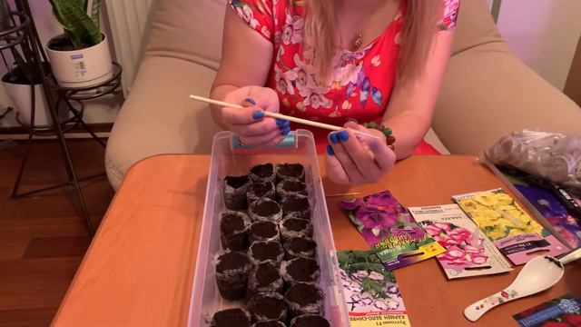 Эустома! Посадка семенами в январе