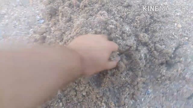 Должанка Копаем на пляже с террой 305