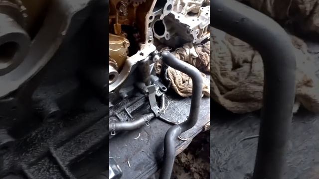 nissan murano 3.5 объем замена прокладки головки блока