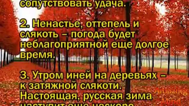 Народные приметы на 23 ноября 2020 года