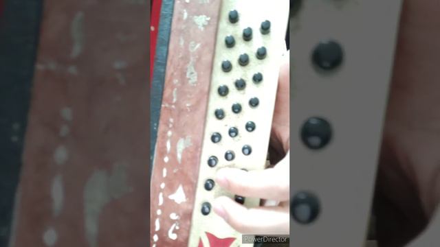ЭНИЕМ - разбор песни на гармони. Из репертуара Зульфии Минхажевой. Карим Муратов