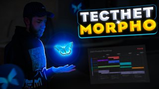 Тестнет morpho