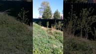Установка монтаж забора в Переславле-Залесском