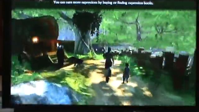 Fable 2 Walkthrough part 4 - Death and Life