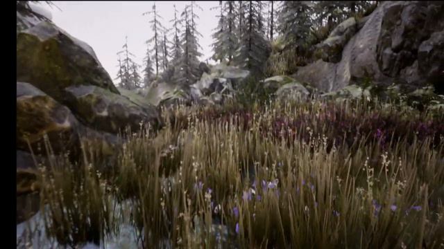 Big Tree Island