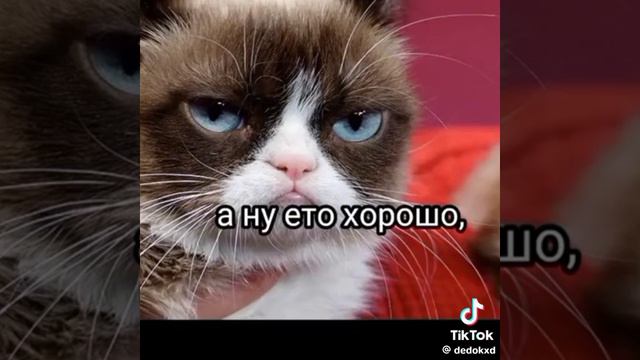 играё зайди