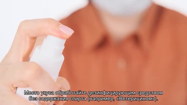 Как удалить клеща у кошки?