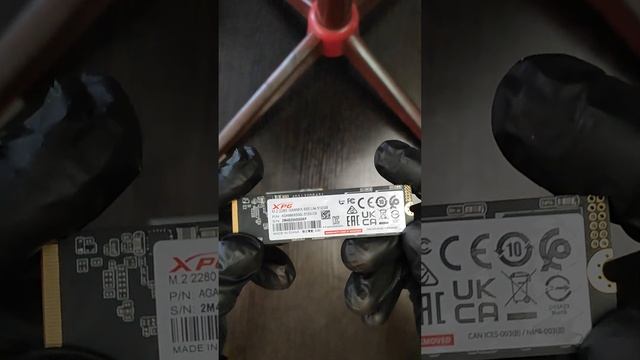 Осмотр ADATA XPG GAMMIX S50 Lite на 512 Гб