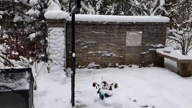 Могила Анны Ахматовой.Читаю Стихи.