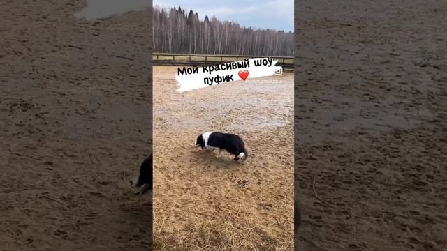 Красота это сила ❤️