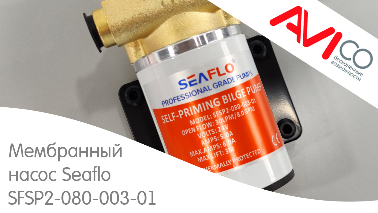 Трюмный насос Seaflo SFSP2-080-003-01