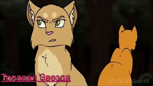 Коты воители: Огнезвёзд и Песчаная буря-Стиль собачки ( Заказ )