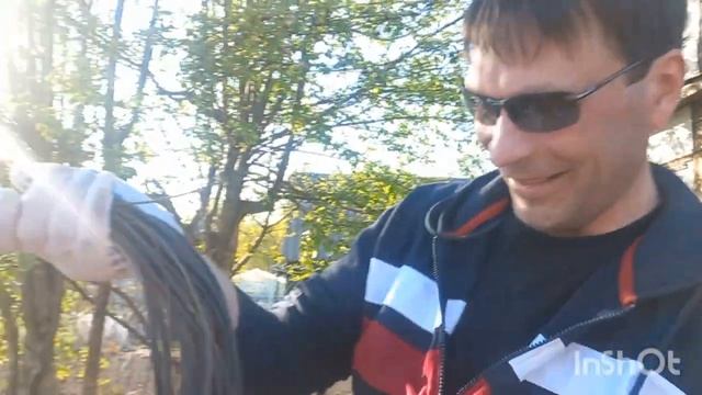 Купили заброшенную дачу(сезон 2№9Приехал супруг ,очень недоволен _Сажаю петунию в клумбу