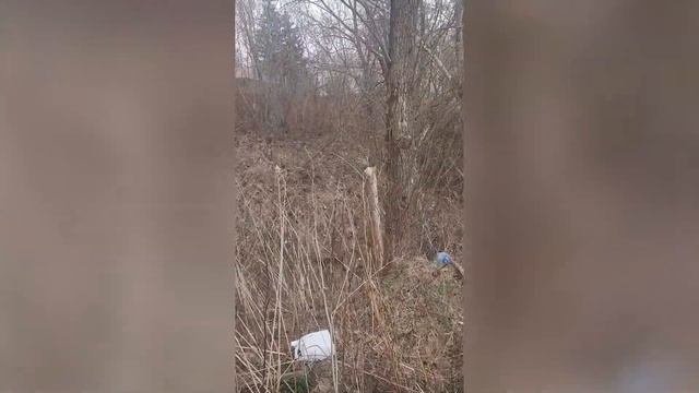 Мусорный овраг с видом на Храм: в Орле возле Оки разрастается несанкционированная свалка