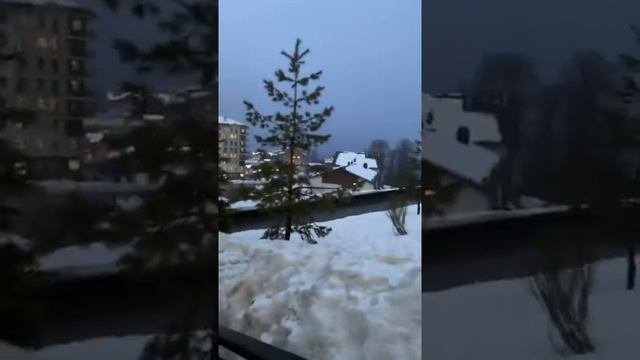 Адлер-Сочи! Красная поляна. Роза хутор!