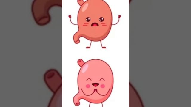 ФАКТЫ О ЧЕЛОВЕЧЕСКОМ ОРГАНИЗМЕ ???