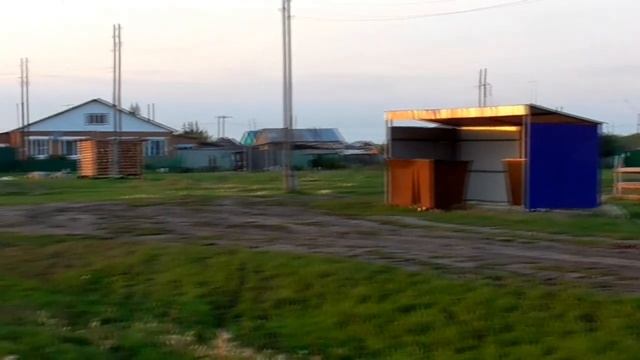 Как коровы идут домой со стада, быки вечером бегут за водой