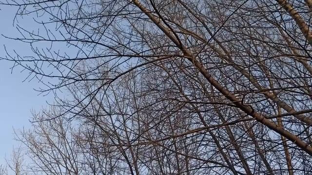 7 февраля народный праздник Григорьев день. Народные приметы и традиции.