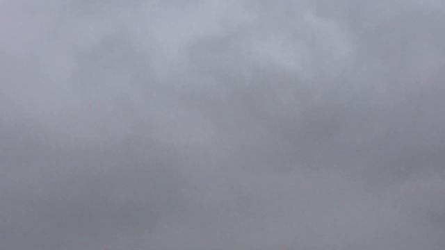 Мелкий дождик во дворе. 16.10.23. 10.02