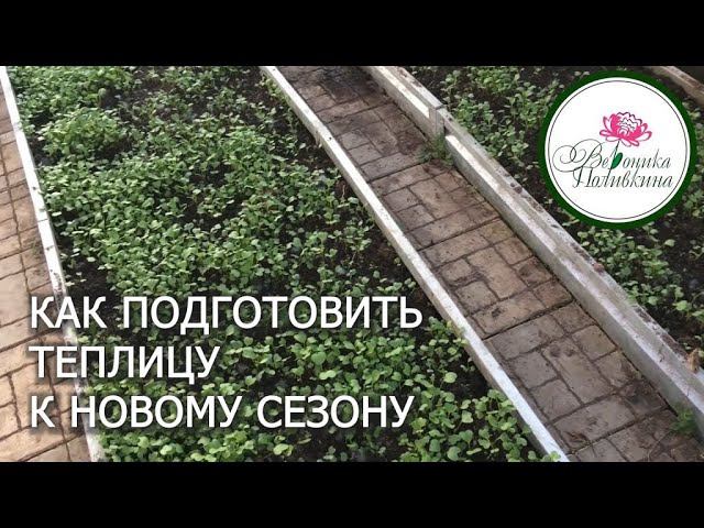 КАК ГОТОВИТЬ ТЕПЛИЦУ К НОВОМУ УРОЖАЮ