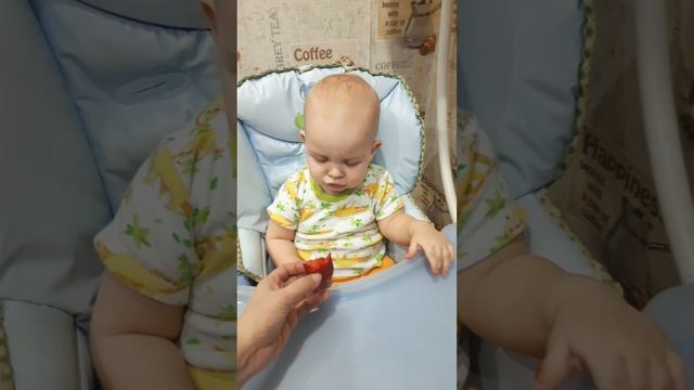 малыш пробует клубнику в 10 месяцев