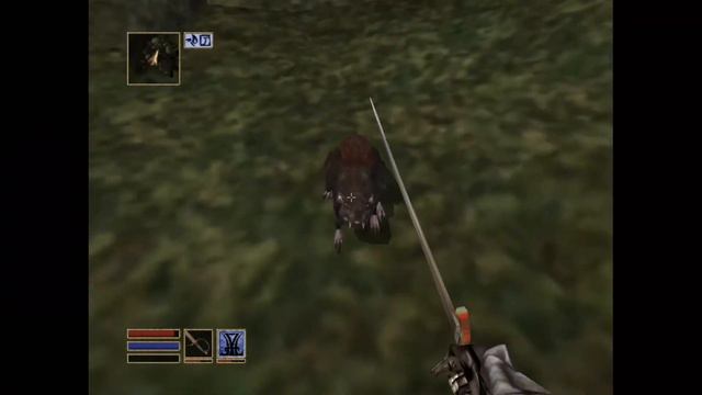 Water is my Nightmare Because of this Fish | Morrowind | Ep. 6