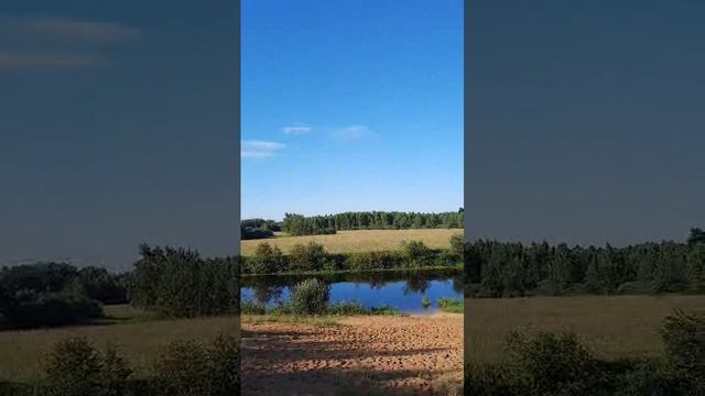 Красивый денёк на ПАДЧЕРЕМЕ старом русле реки Клязьма