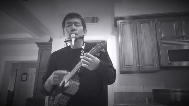 Elvis Presley - Love me tender (Ukulele Cover)